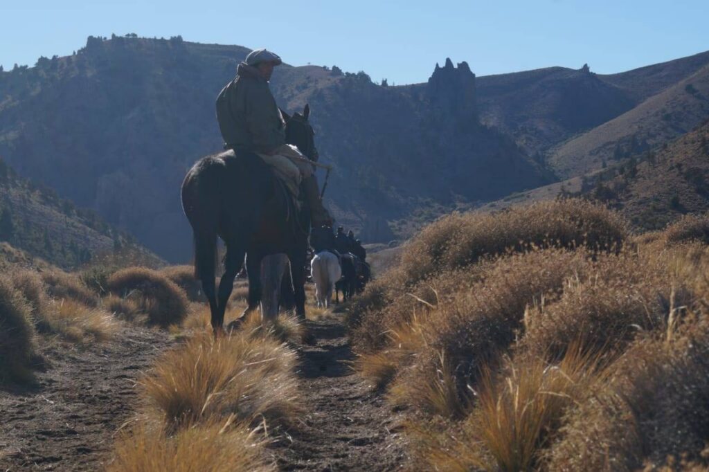 IMG-20180607-WA0010.jpg