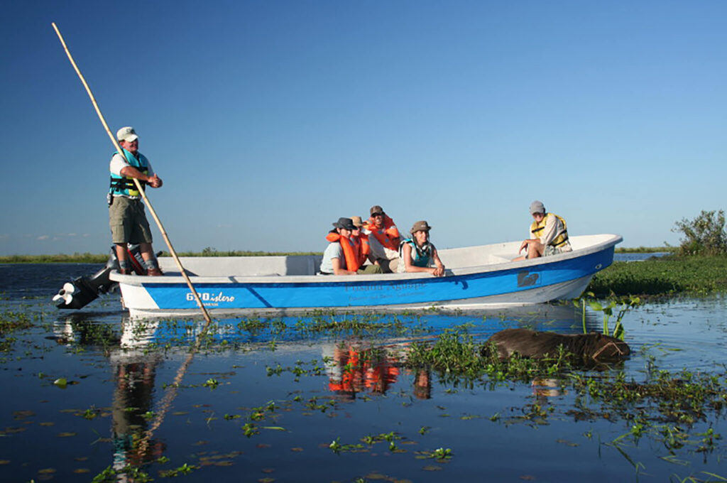 Ibera-Wetlands-Motor-Boat.jpg