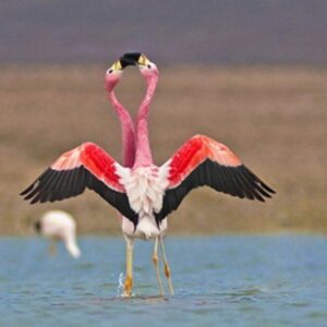 POZUELOS LAGOON - full-day