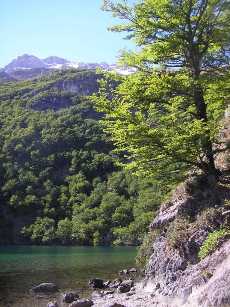 Lago-del-Desierto.jpg