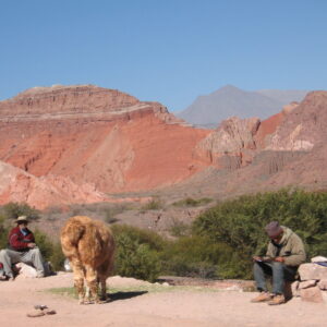 SALTA: WINE ROUTE - full-day