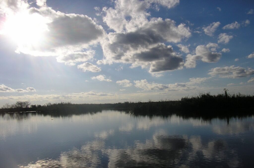 P1010314.jpg
