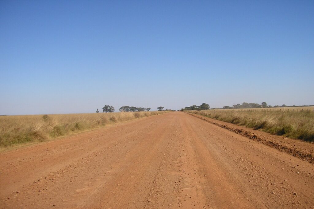 P1010334.jpg