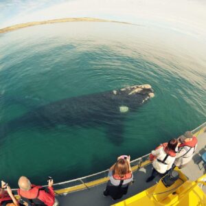 BUENOS AIRES, PUERTO MADRYN, USHUAIA, EL CALAFATE & BARILOCHE - 15 DAYS 14 NIGHTS