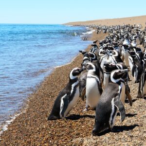 PENÍNSULA AT A GLANCE - 3 DAYS 2 NIGHTS