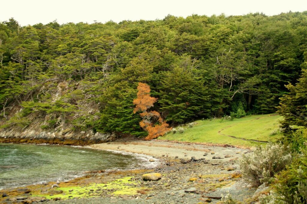 USHUAIA-NATIONAL-PARK-1.jpg