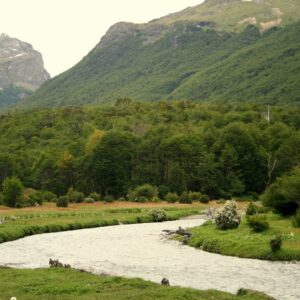 USHUAIA: PARQUE NACIONAL TIERRA DEL FUEGO PREMIUM - MEDIO DÍA