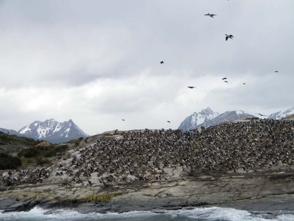 Ushuaia-Canal-de-Beagle.jpg