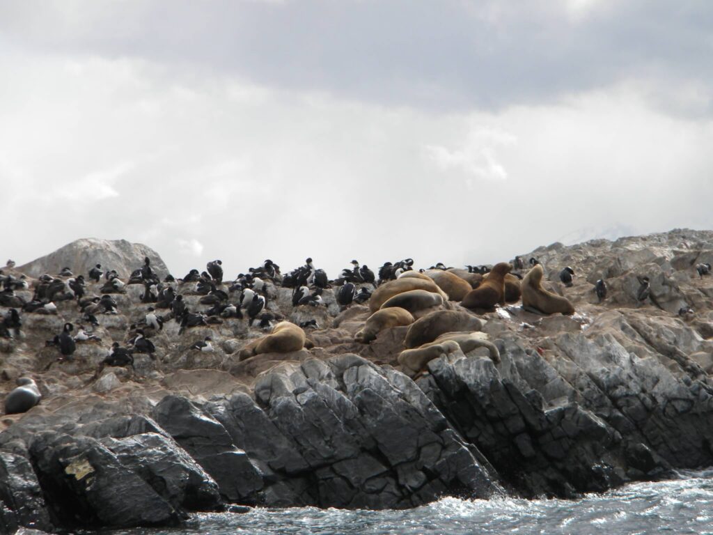 Ushuaia-Canal-de-Beagle-2.jpg