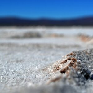SALINAS GRANDES & THE SALT PROCESS - full-day