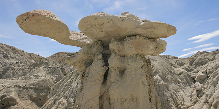 bosque-petrificado-la-leona3.jpg