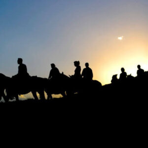 HORSEBACK RIDING: SUNSET IN THE FIELDS - half-day