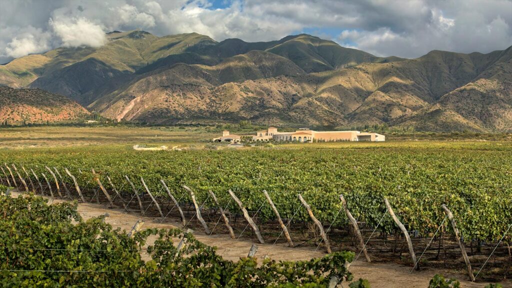 cafayate-1.jpg