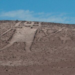 ATACAMA'S GIANT - half-day