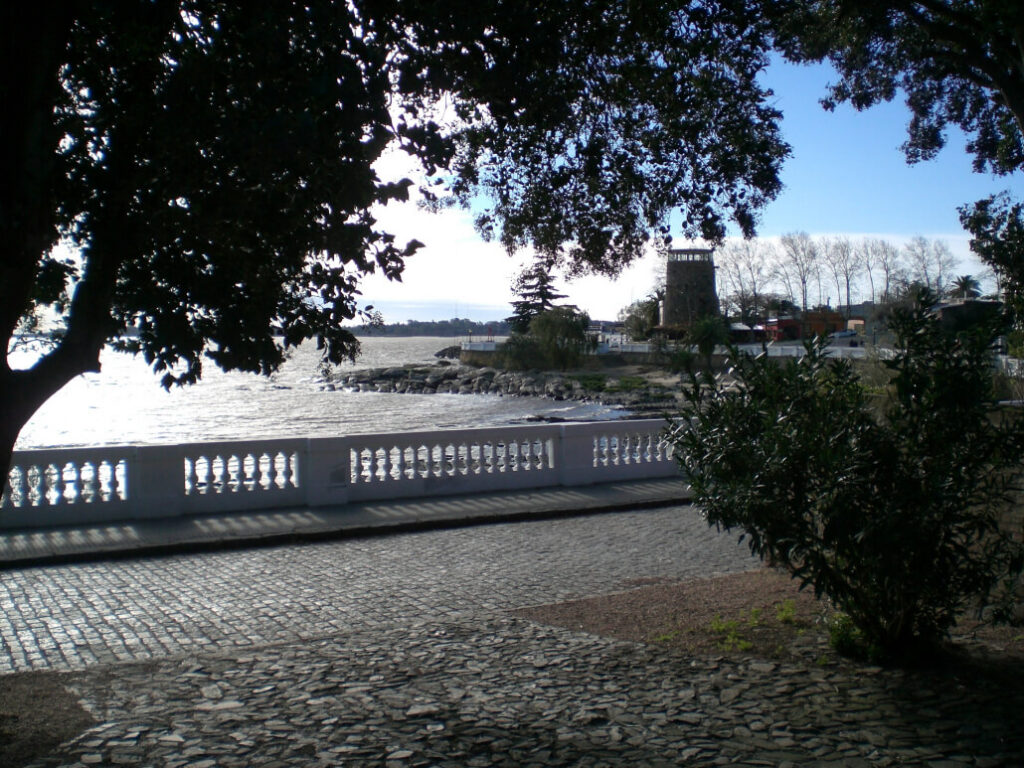 cimg1066-1030x773-1.jpg