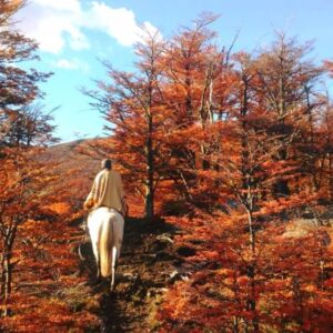 MORNING OR AFTERNOON FIELD TRIP AT ESTANCIA NIBEPO AIKE WITH HORSE RIDDING - full-day