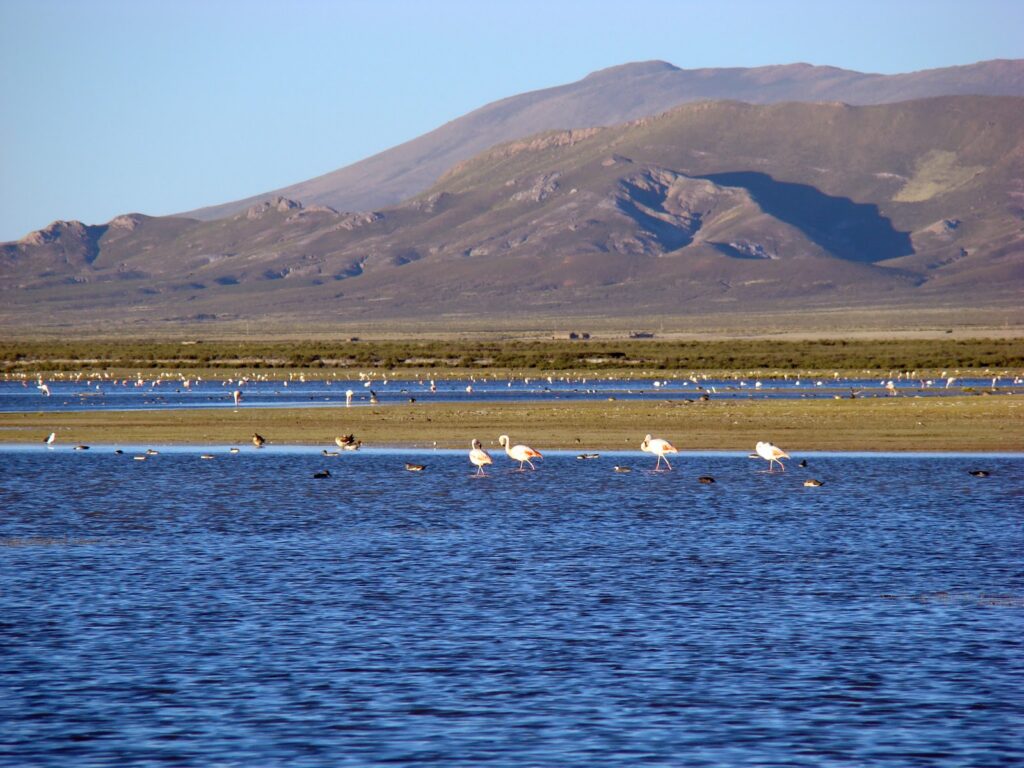 foto_de_la_laguna_-_000.jpg