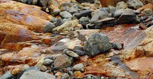 images-5.jpg
