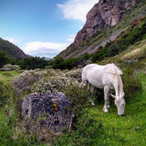 TORRES DEL PAINE: ZAPATA VALLEY TREK - 4 DAYS 3 NIGHTS