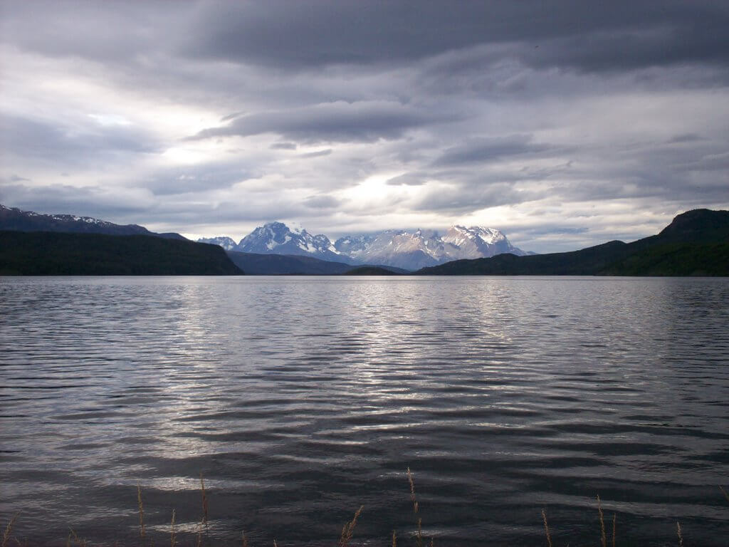 lago-brush.jpg