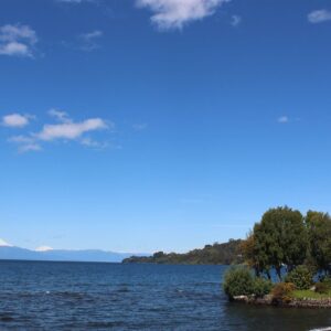 LLANQUIHUE LAKE, FRUTILLAR & PUERTO OCTAY - half-day