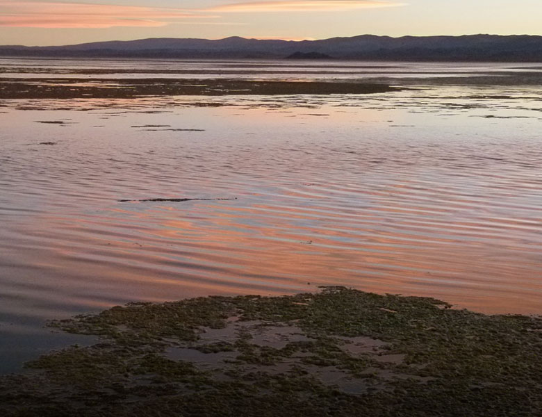 lagunapozuelos_feature.jpg