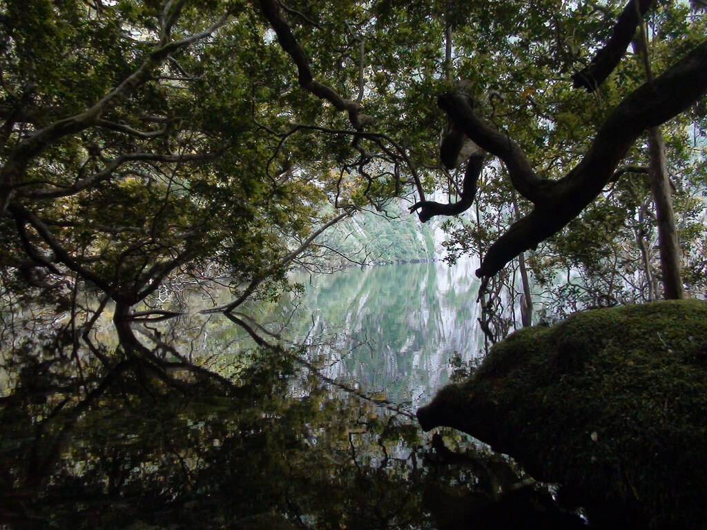 lahuen-nadi2.jpg