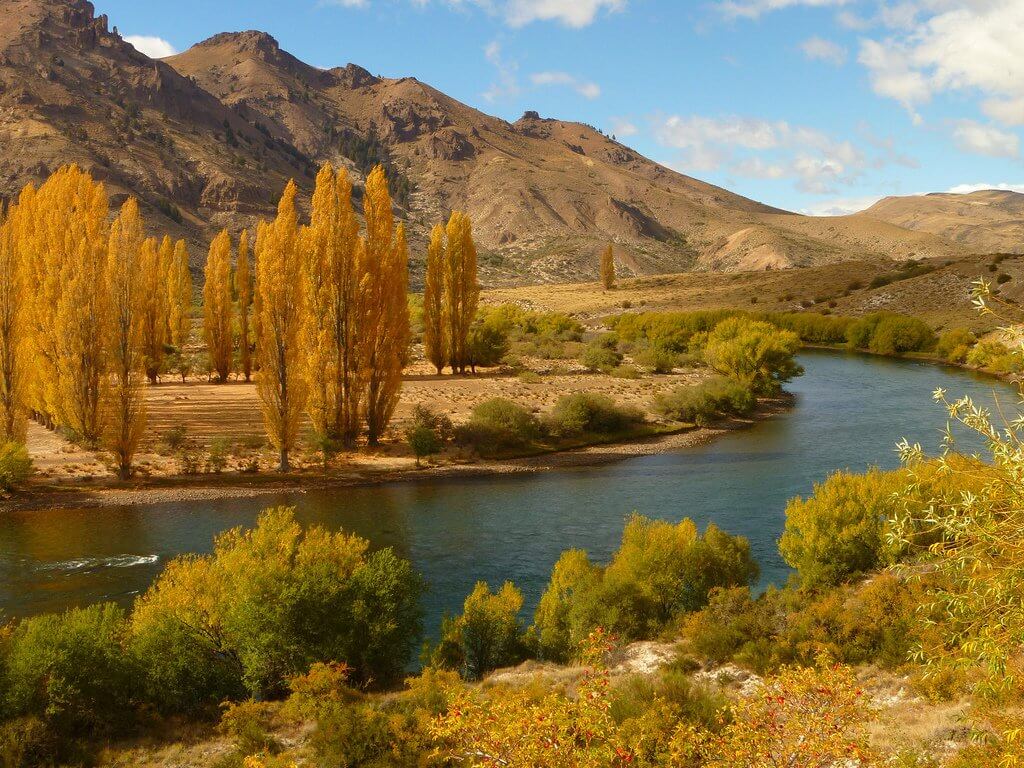 limay.jpg