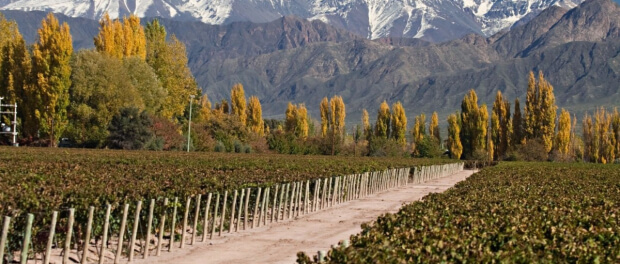 mendoza.jpg