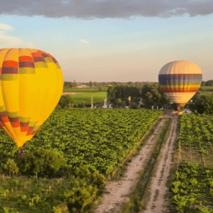 Wine & Flight