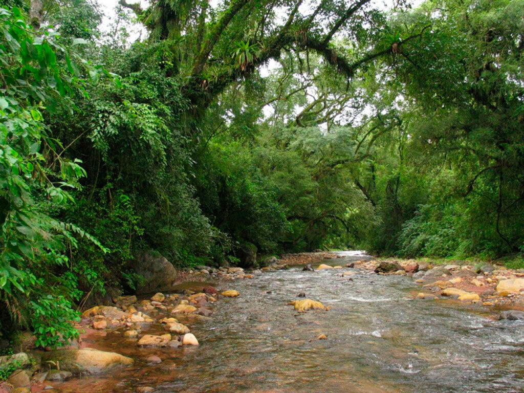 parque-nacional-el-rey.jpg