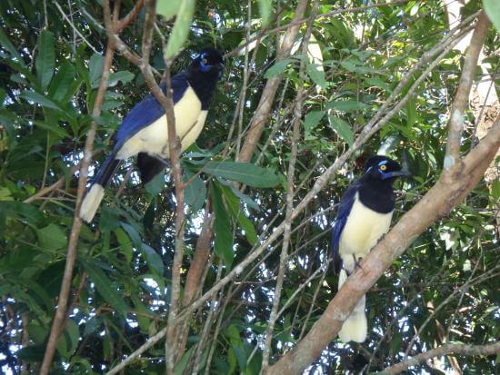 parque-nacional-iguazu.jpg