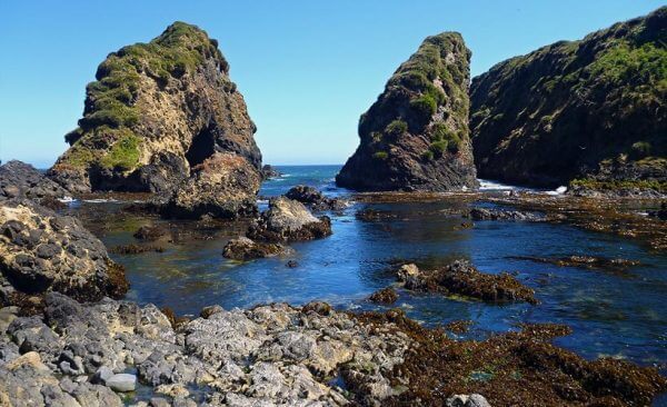 punihuil-chiloe_example-1-600x366-1.jpg