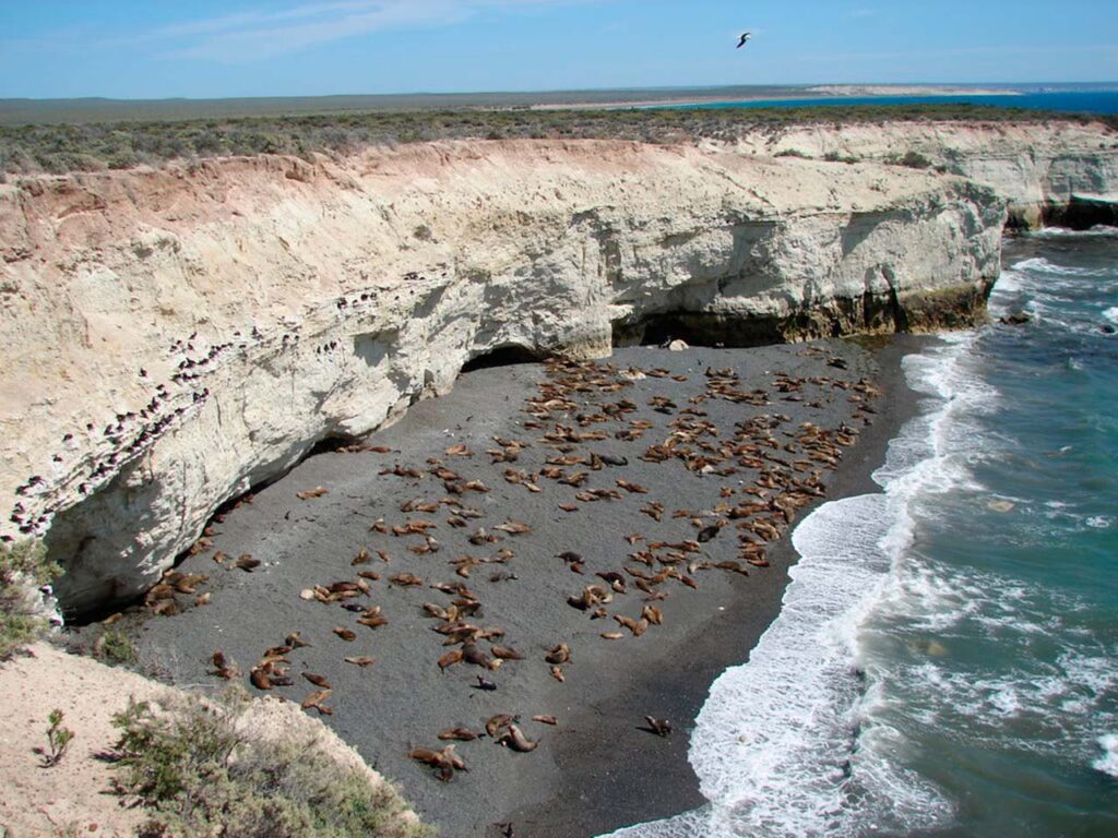 reserva-faunistica-punta-loma-chubut-1.jpg