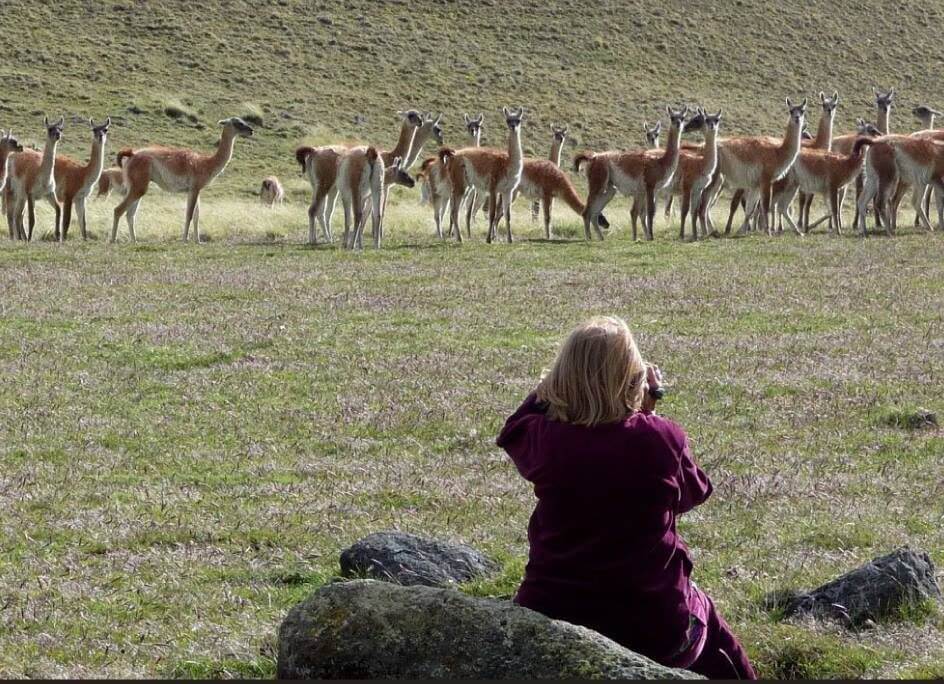safari-experience-1-e1558454628712.jpg