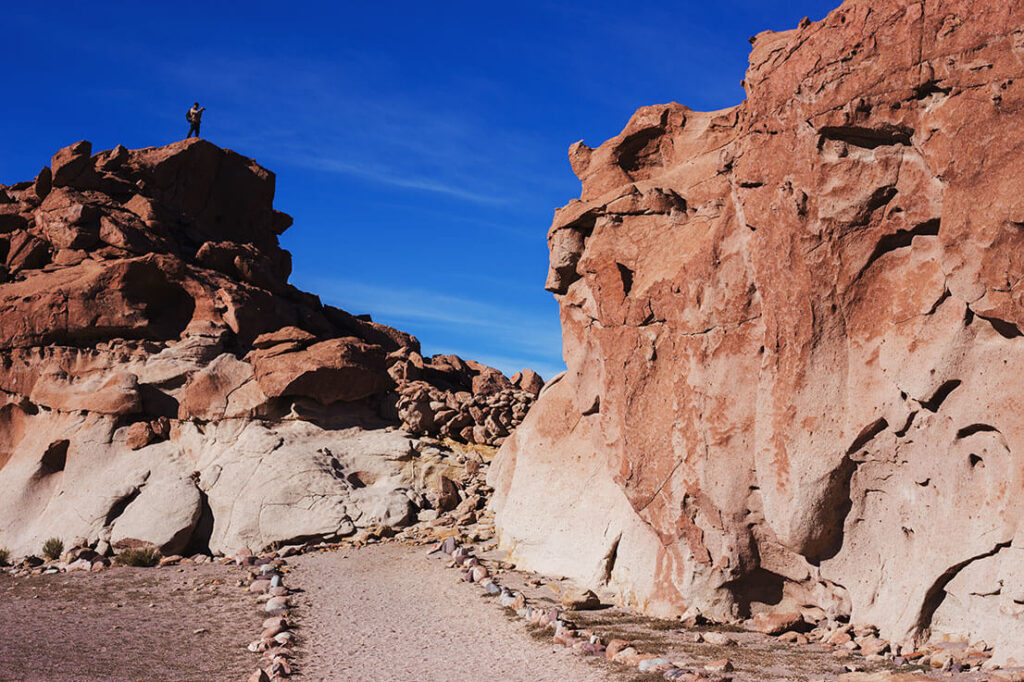 salar-andino-travel-agency-san-pedro-de-atacama-salar-de-uyuni-tours-expediciones-agencia-de-viajes-paquete-atacama-6-di.jpg