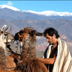 CARAVANA DE LLAMAS: ZANJAS TILCARA – full-day