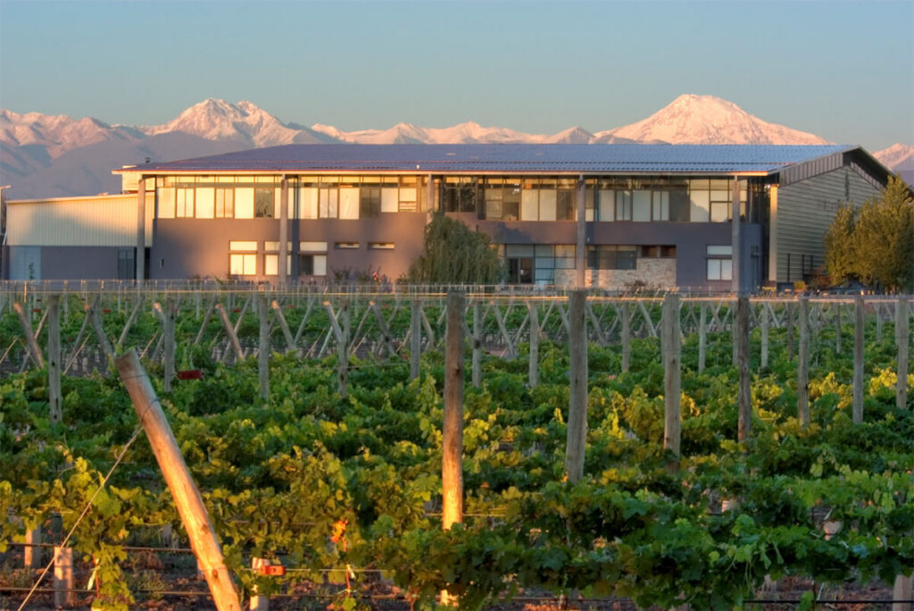 tapiz-mendoza-0031.jpg