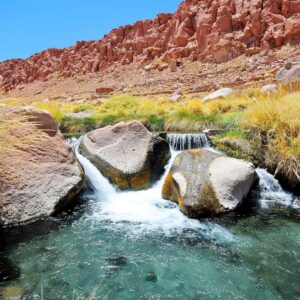 PREMIUM PURITAMA HOT SPRINGS - half-day