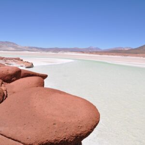 TUJACTU LAGOON, ALTIPLANIC LAGOONS & ATACAMA SALT FLAT - full-day