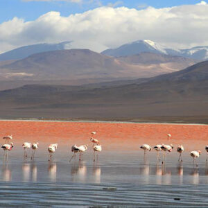 BOLIVIA COMPLETA - 13 DÍAS 12 NOCHES