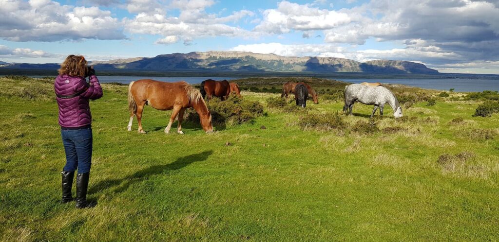 visita-a-estancia-patagonica-bahia-esperanza_3878_201908260612452.jpg